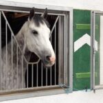 Dadar Beredar Ciledug: Fleksibilitas dalam Setiap Resep