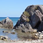 Berbagai Varian Menu Dadar Beredar Cabang Ciledug